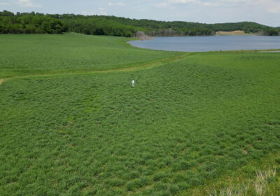 Water Resources Institute recognized for strong science, science communication and student support