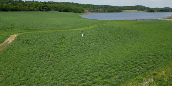 Water Resources Institute recognized for strong science, science communication and student support