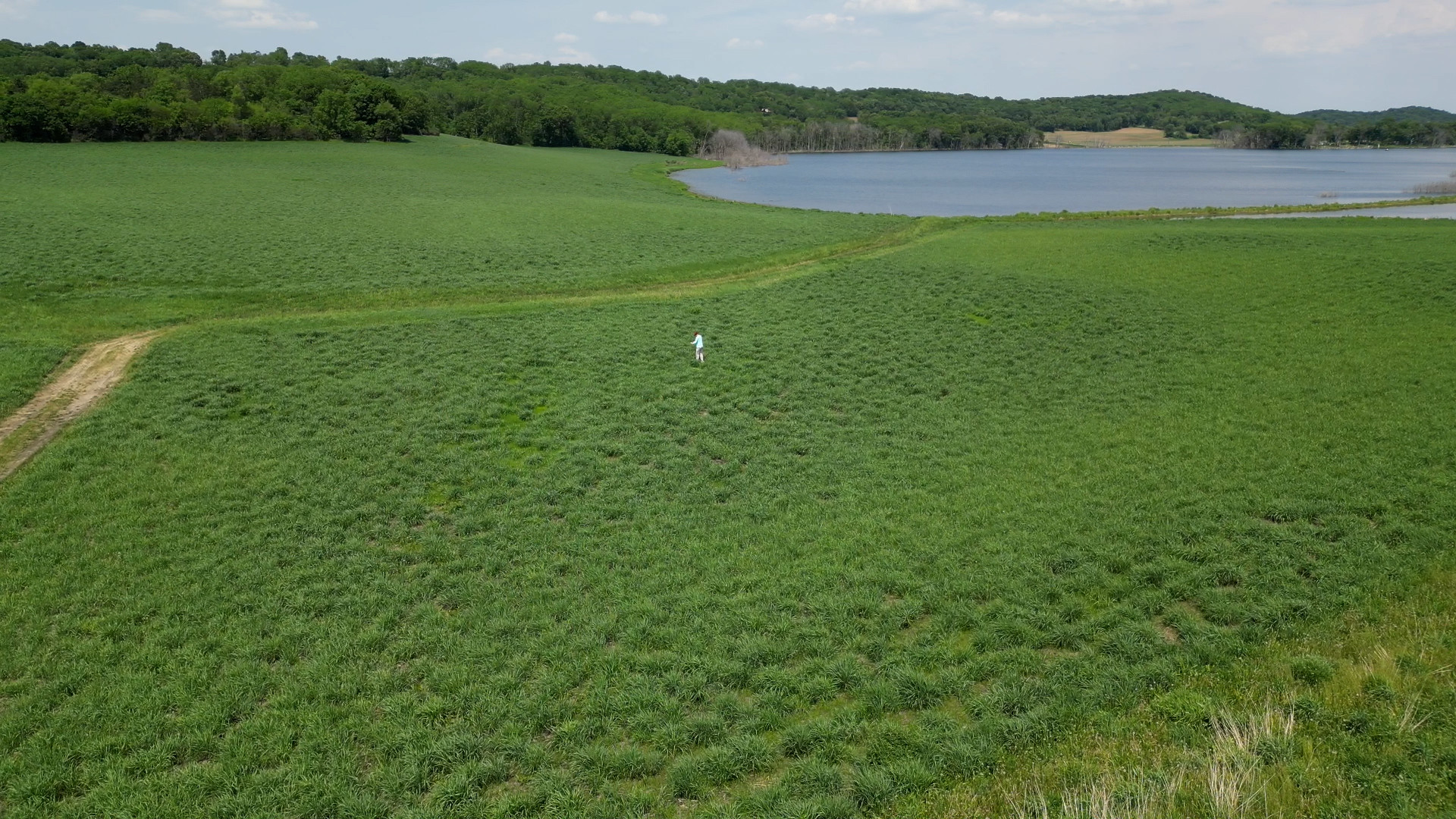 Green field with distant figure. Water in the background.