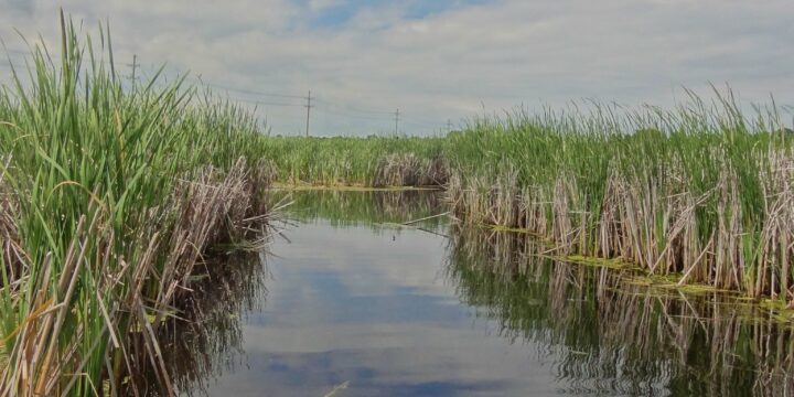 New undergraduate research program focused on water launched