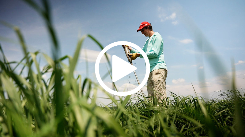 Photo of a researcher in a grass field.