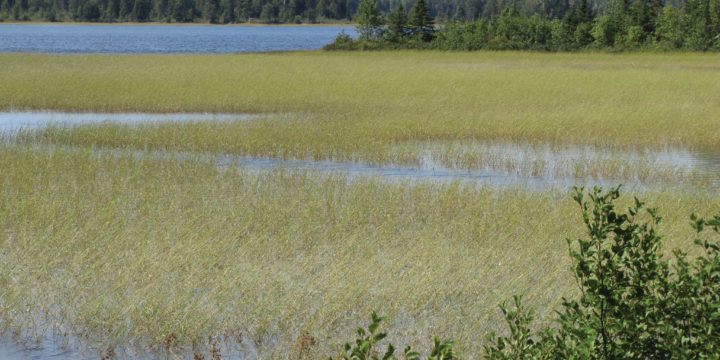 State’s leading water managers and researchers meeting