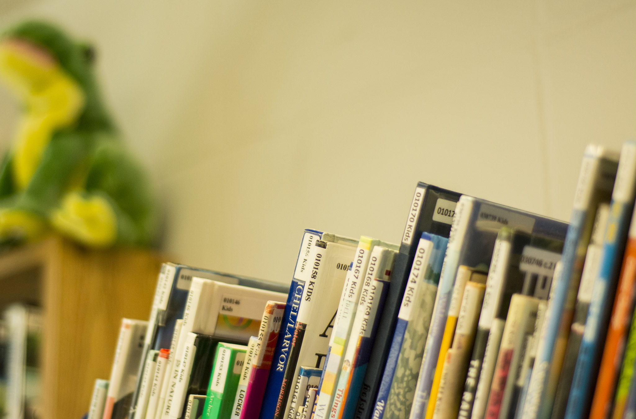 Numerous books lined up along a wall.